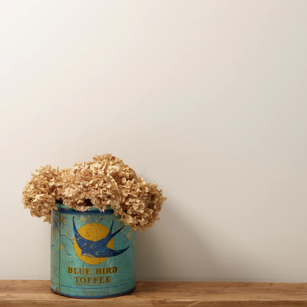 Corker 2.5 Litres Chalk Wall Paint