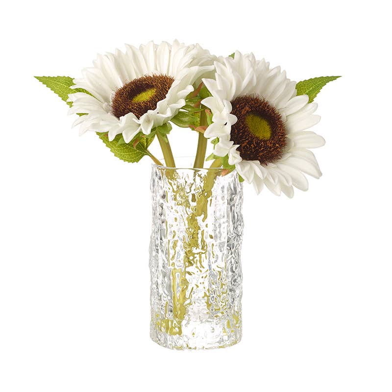 White Sunflowers in Vase