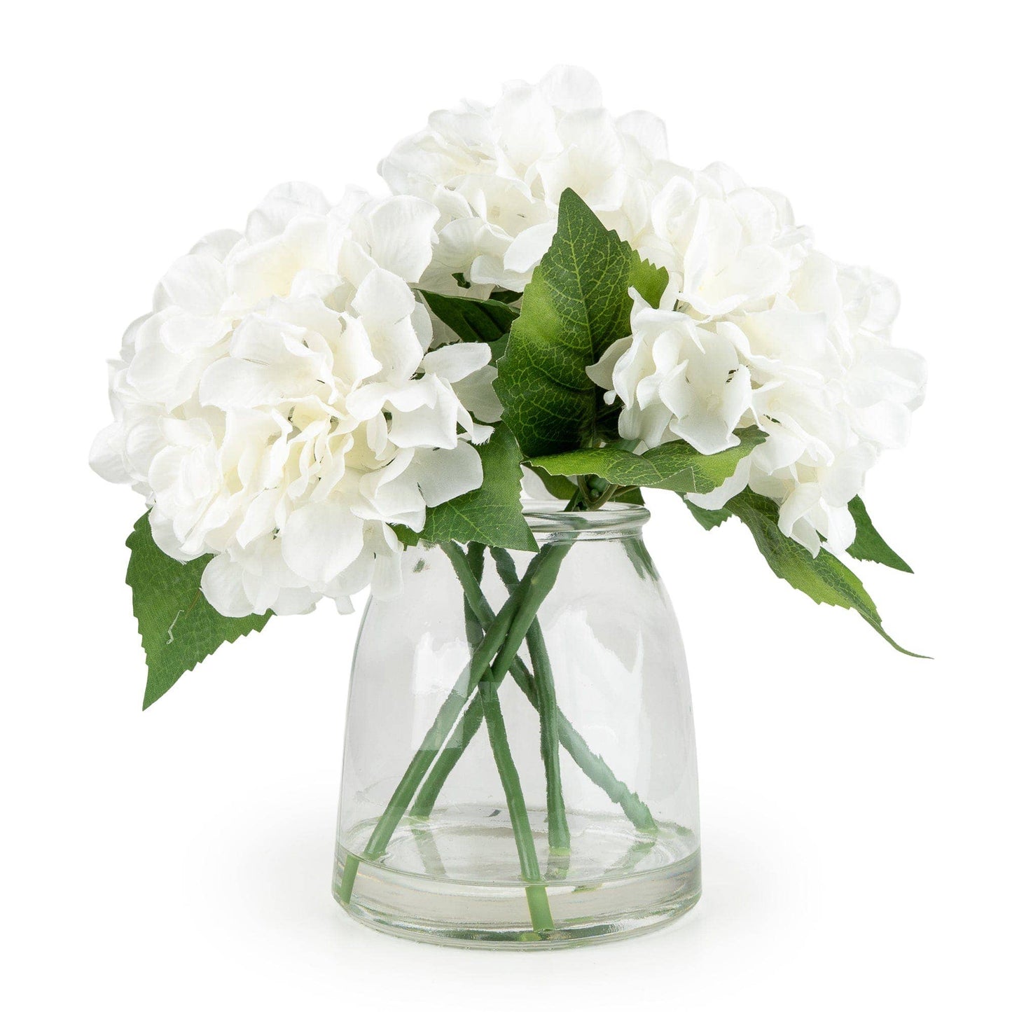 White Hydrangeas in Glass Vase