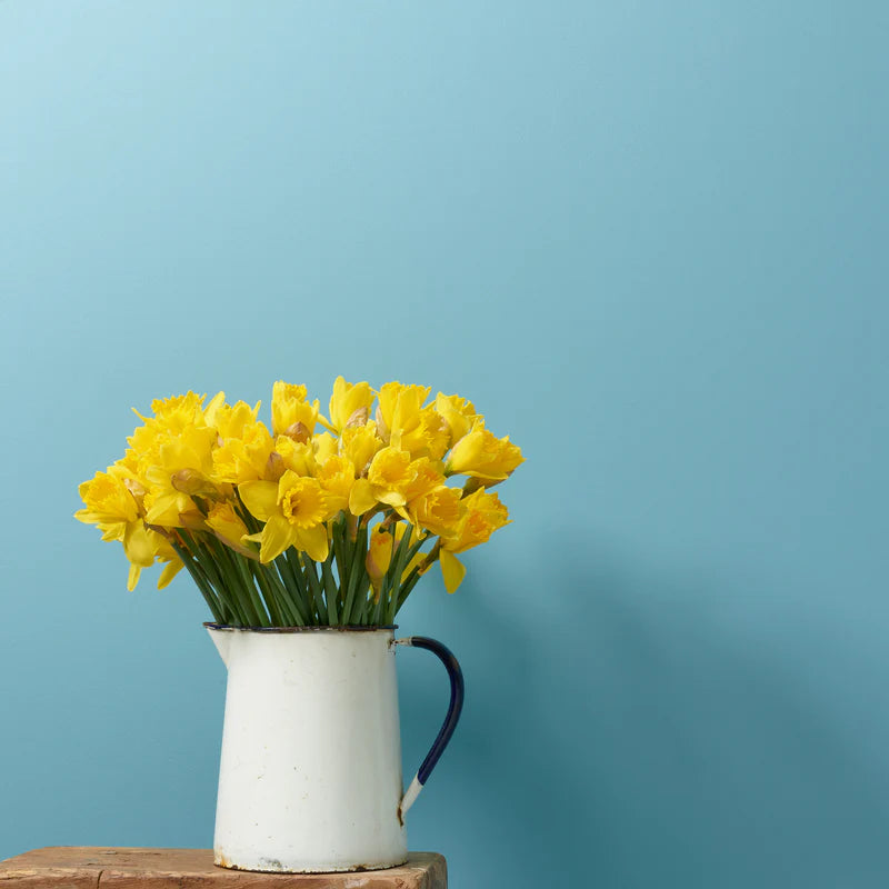 Santorini 2.5 Litres Chalk Wall Paint