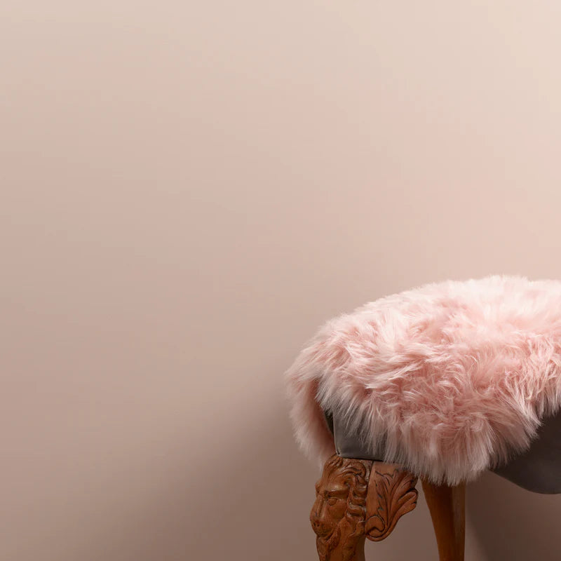 Swayed 2.5 Litres Chalk Wall Paint