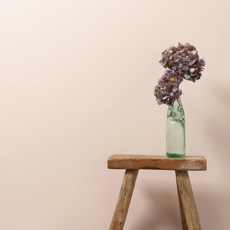 Sweetcheeks 2.5 Litres Chalk Wall Paint