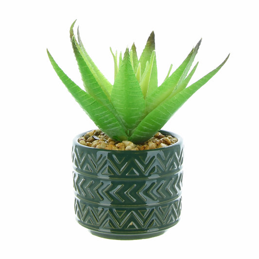 Spikey Succulent in Ceramic Pot