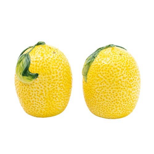 Salt and Pepper Pots in Gift Box