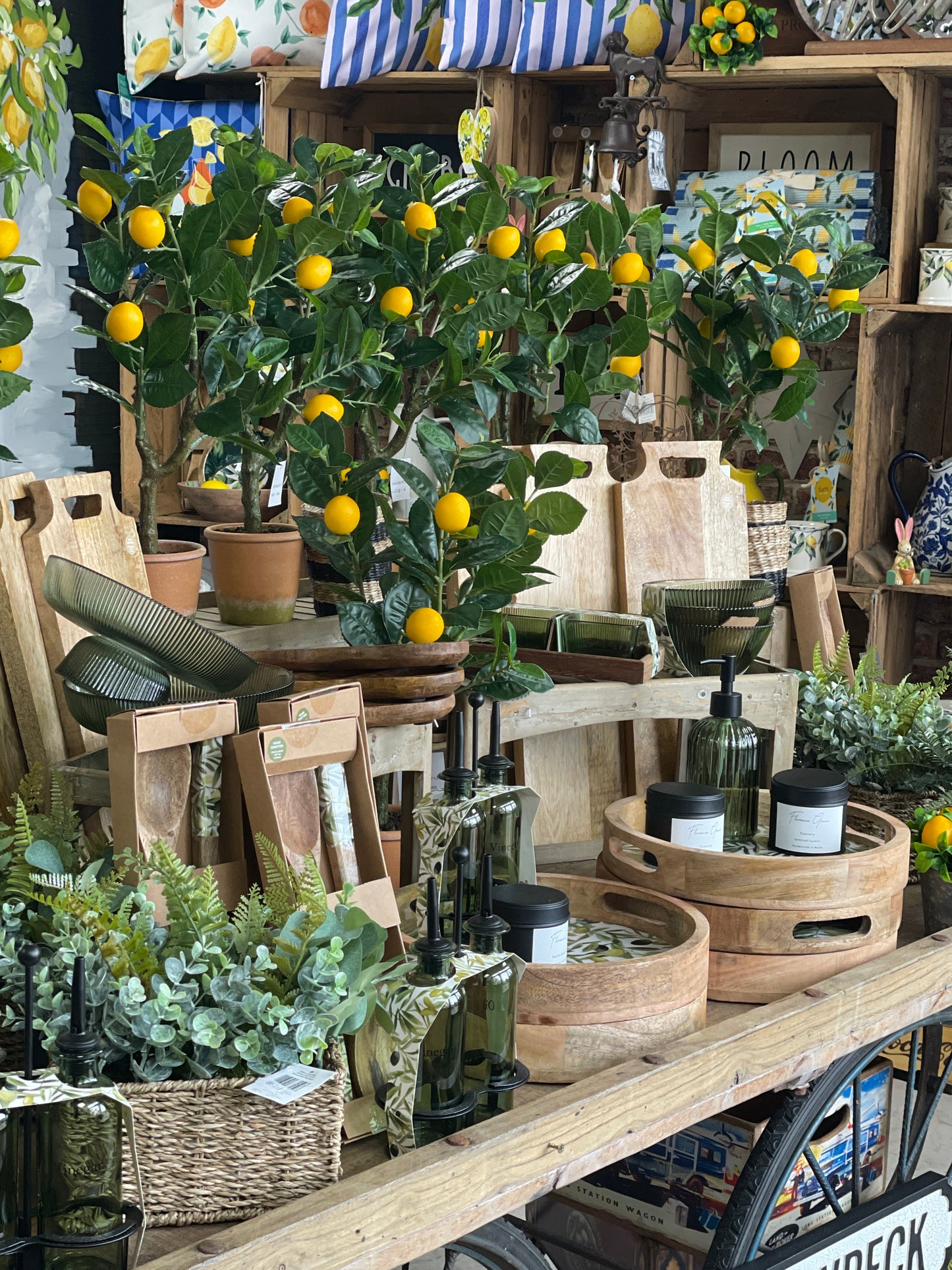 Ornamental Potted Lemon Tree