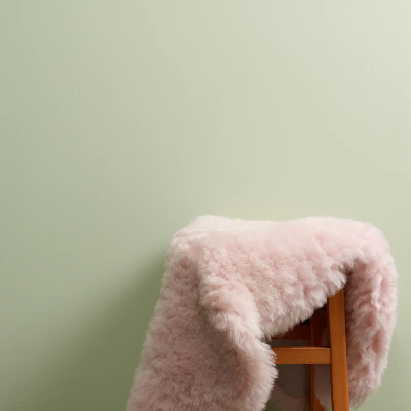 Eye Candy 2.5 Litres Chalk Wall Paint