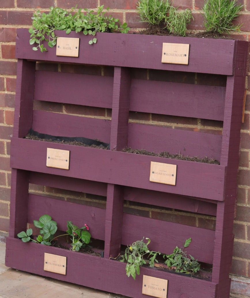 Boho Berry - Colour of the year 2025
