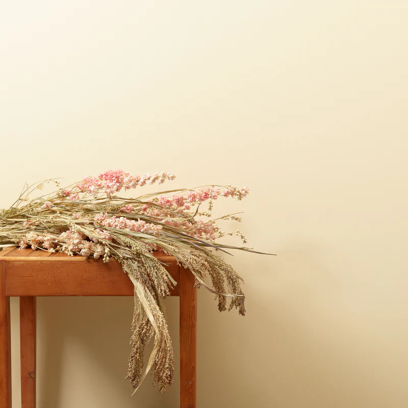 Haley J 2.5 Litres Chalk Wall Paint