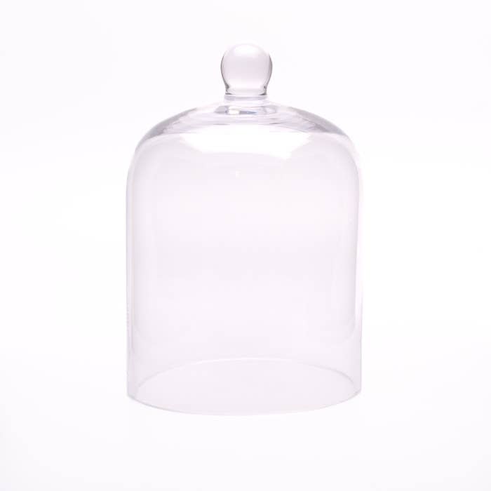 Medium Glass Dome