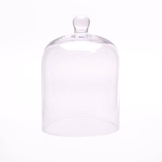 Medium Glass Dome