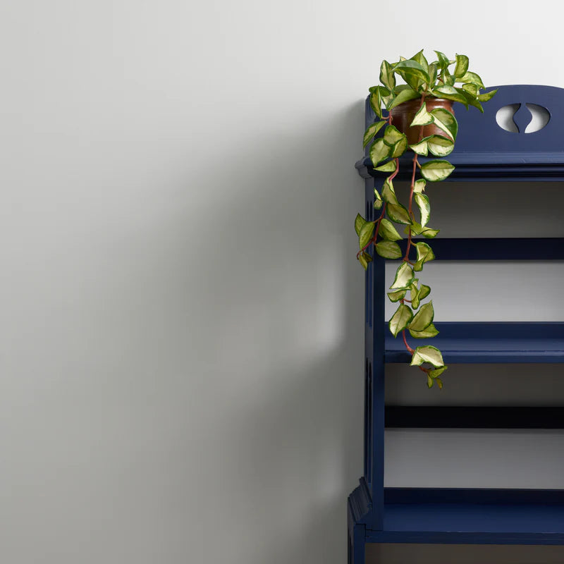 Cloud 9 2.5 Litres Chalk Wall Paint