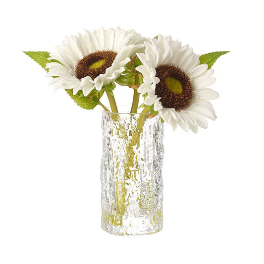 White Sunflowers in Vase