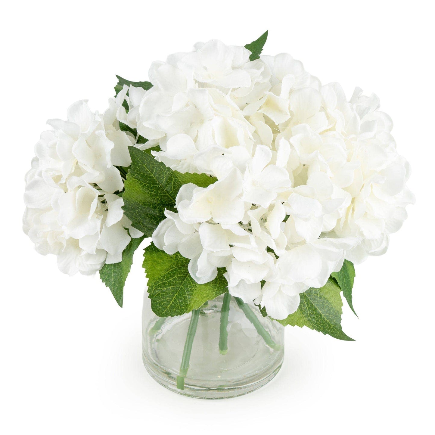 White Hydrangeas in Glass Vase