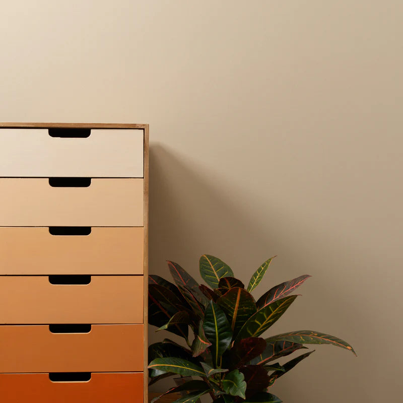 Fennec 2.5 Litres Chalk Wall Paint