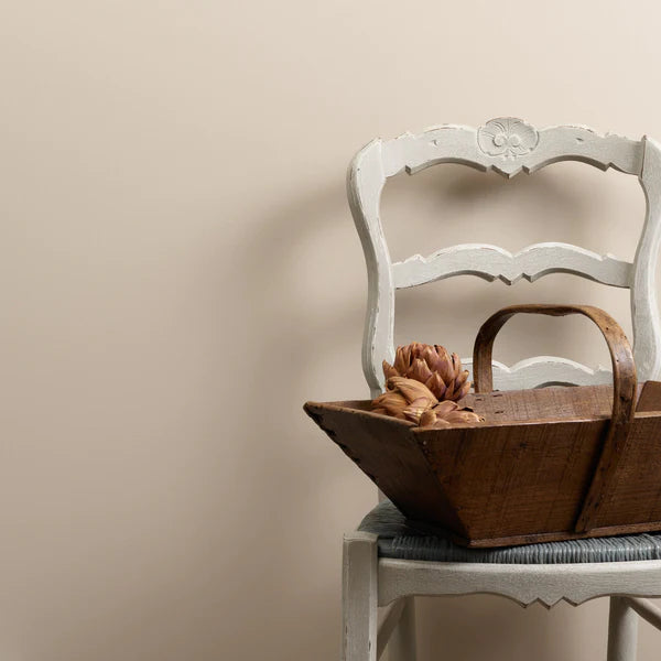 Pampas 2.5 Litres Chalk Wall Paint