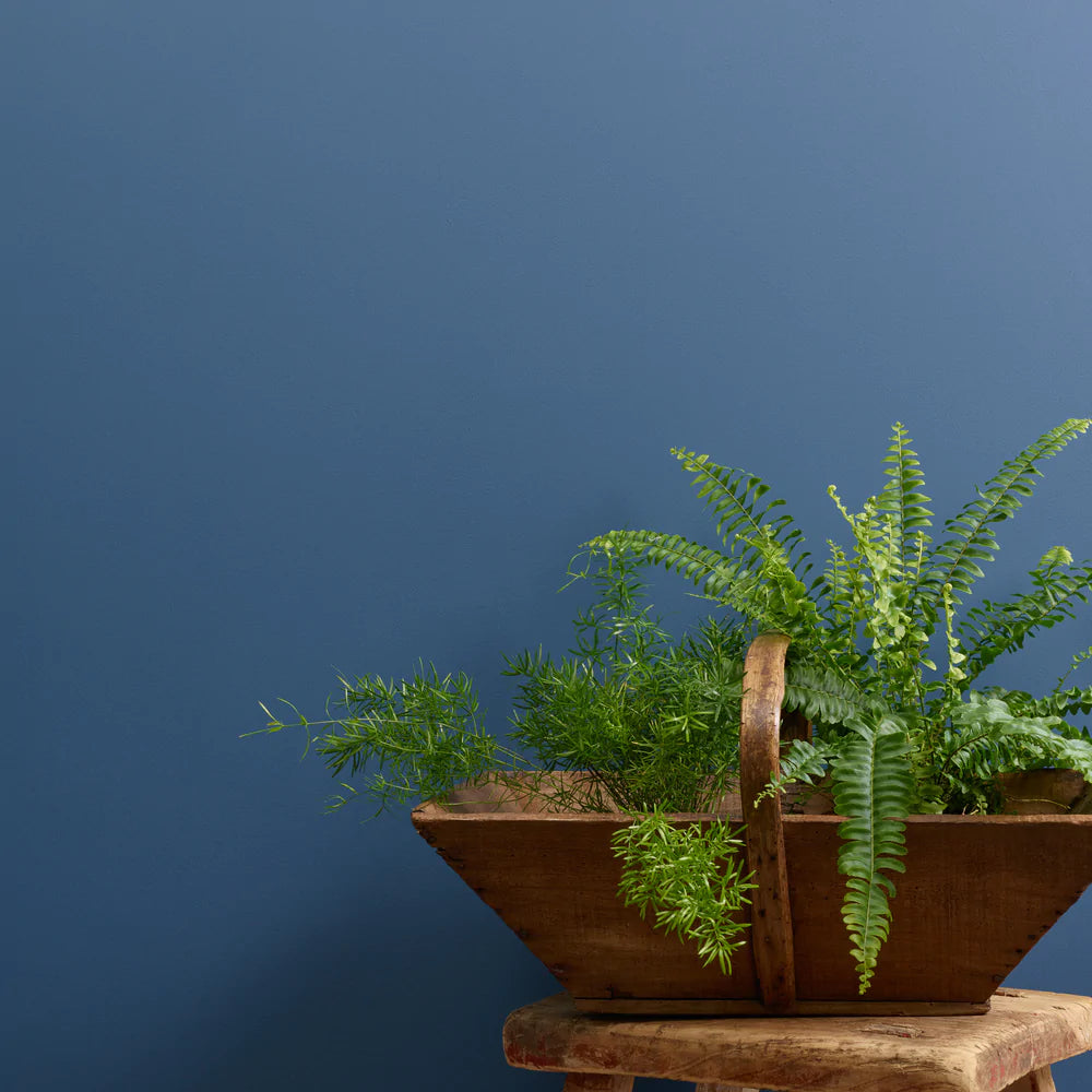 Smooth Operator 2.5 Litres Wall Paint